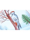 Decorative Plate pic. Motley Woodpecker, Form Ellipse