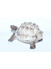 Sculpture Turtle Light Shell