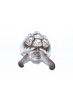 Sculpture Turtle Dark Shell