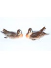 Sculpture Bird Baikal Duck 2